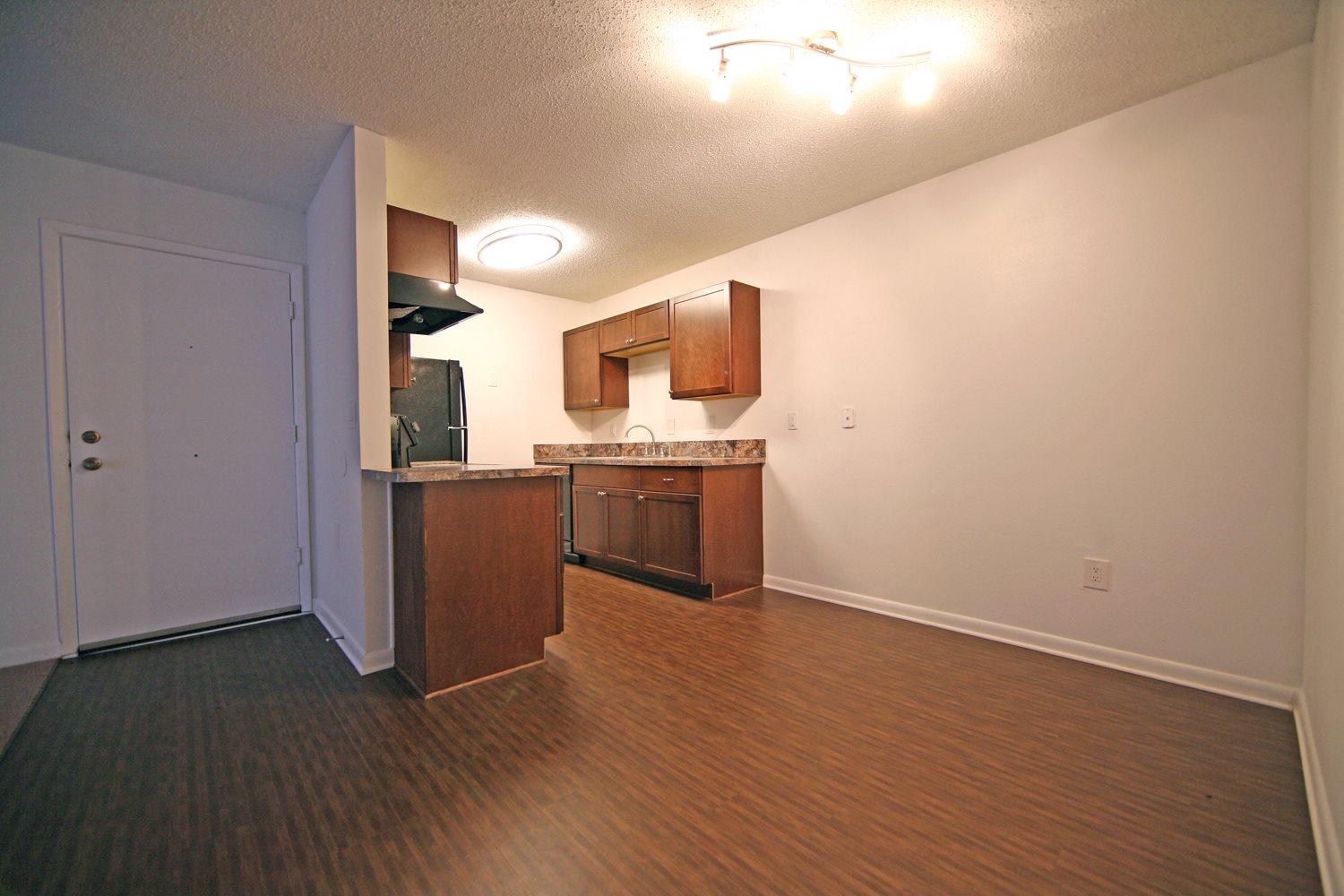 Gallery Photo 23